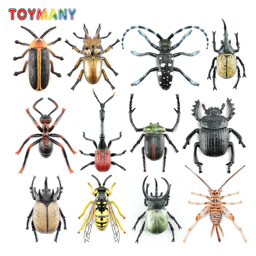 Kids Toys Variety - Toymany Simulation Insect & Beetle Animal