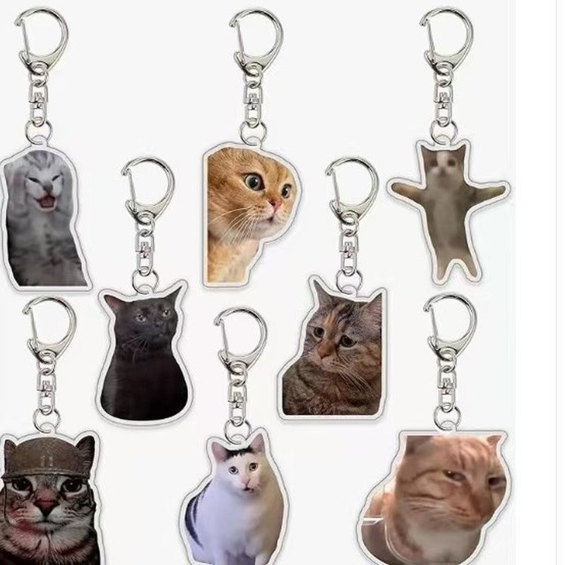 Cute Funny meme Cat Memes Seri - огляд і ціна Kids Toys Low Price